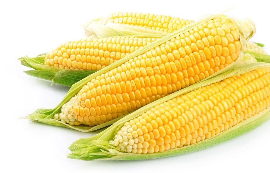 Żwirek z kukurydzy